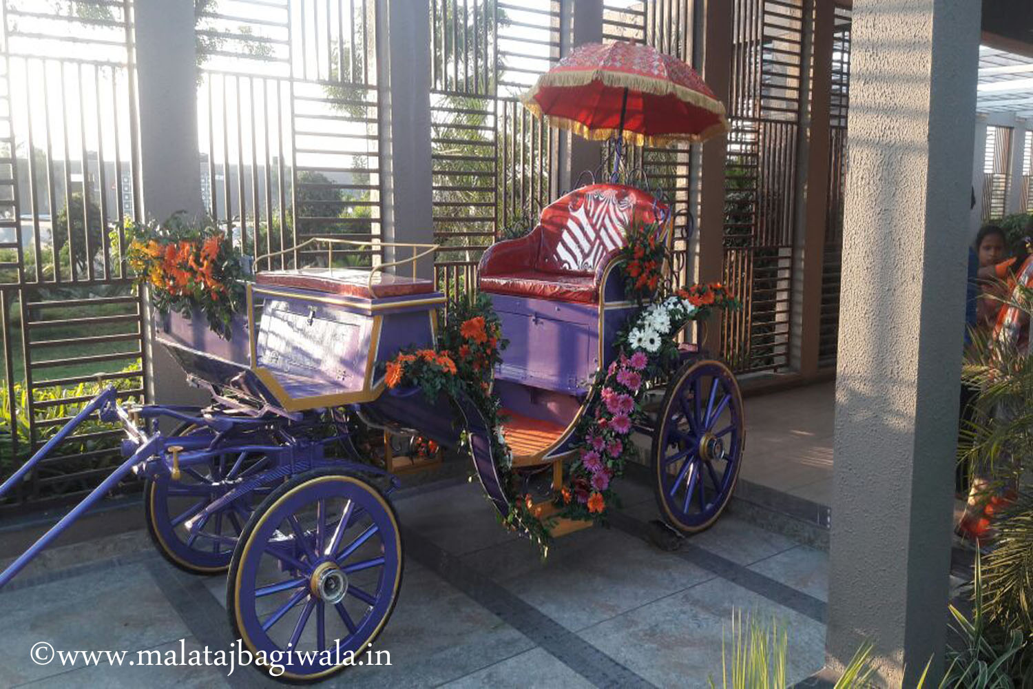 Doli Bagi - horse bagi wedding carriage hire Anand Gujarat