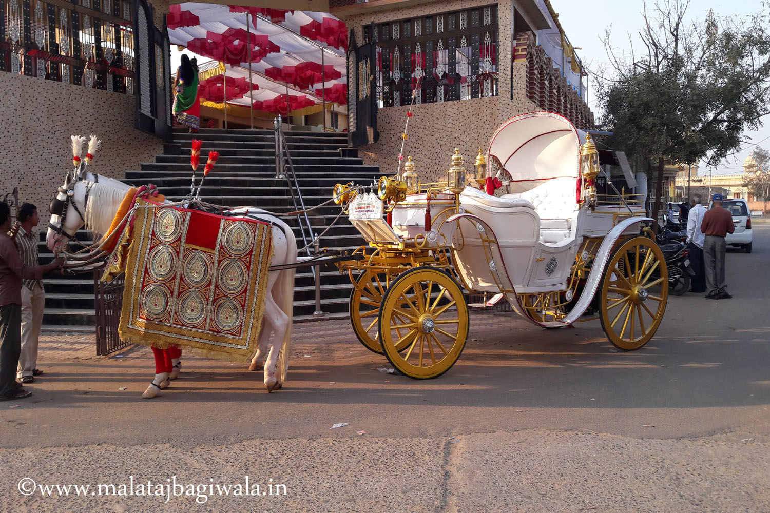 Kohinoor 1 Bagi horse bagi photo 3 - Anand Gujarat