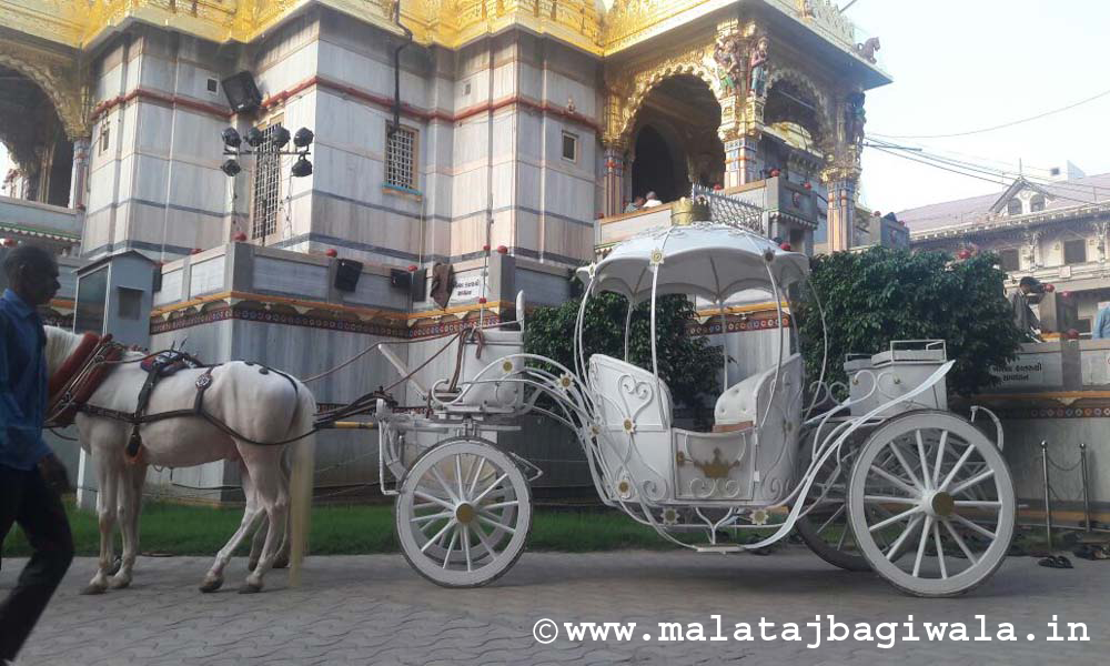 Kohinoor 2 Bagi horse bagi photo 2 - Anand Gujarat