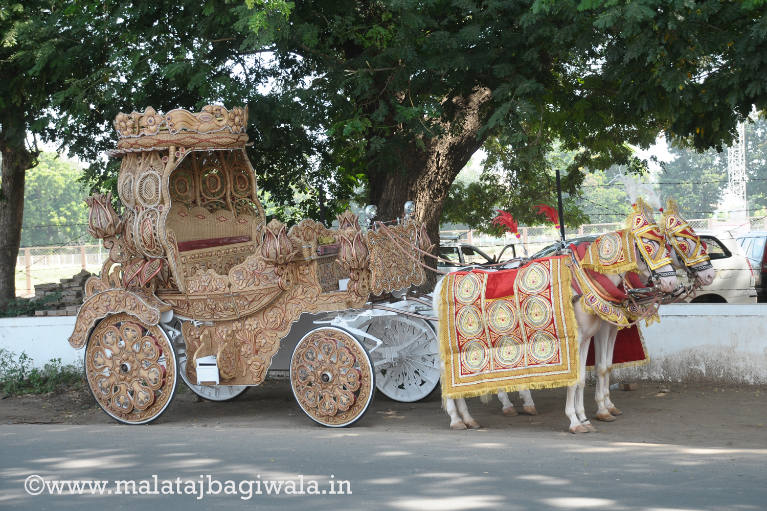 Natural Kalash Bagi - horse bagi wedding carriage hire Anand Gujarat