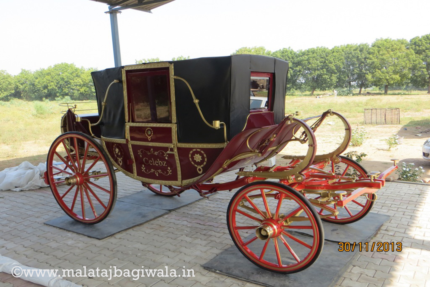Other Bagi horse bagi photo 3 - Anand Gujarat