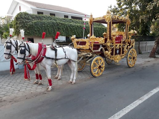 Royal Maharaja Bagi horse bagi photo 2 - Anand Gujarat
