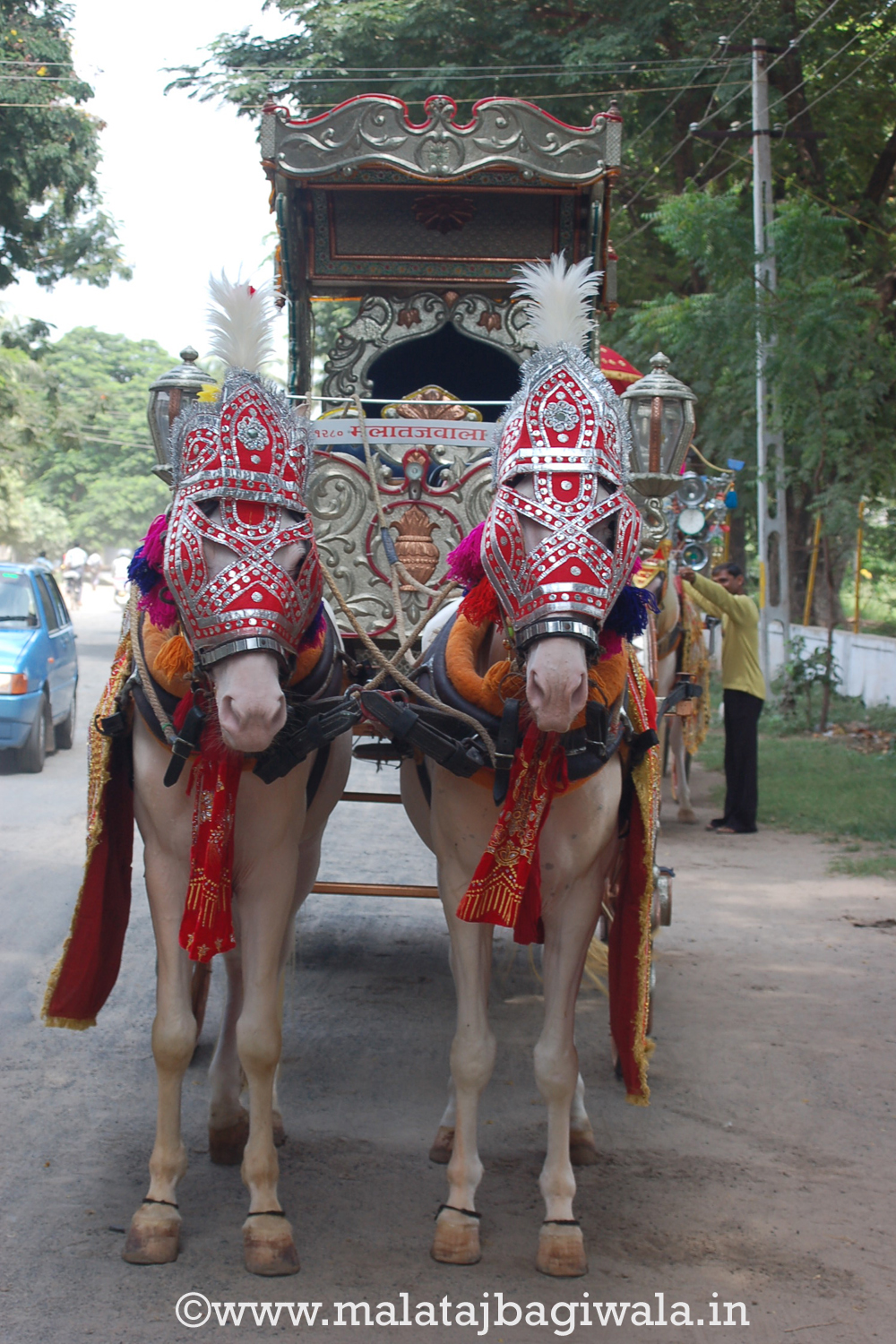 Silver Bagi horse bagi photo 3 - Anand Gujarat