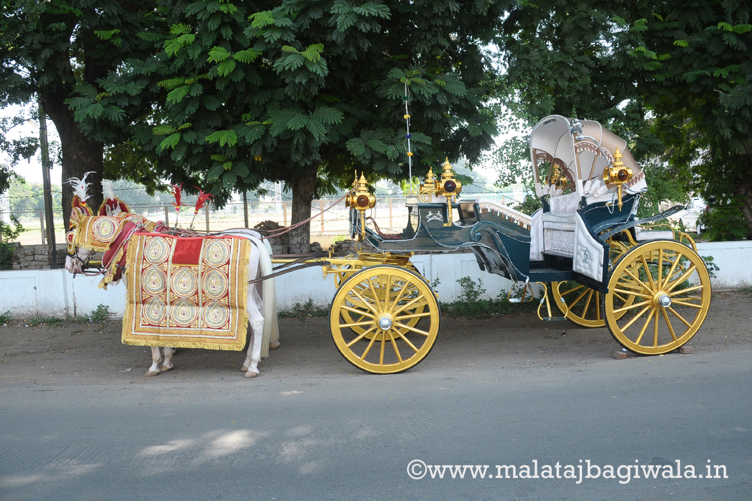 Vintage Victoria Bagi - horse bagi wedding carriage hire Anand Gujarat